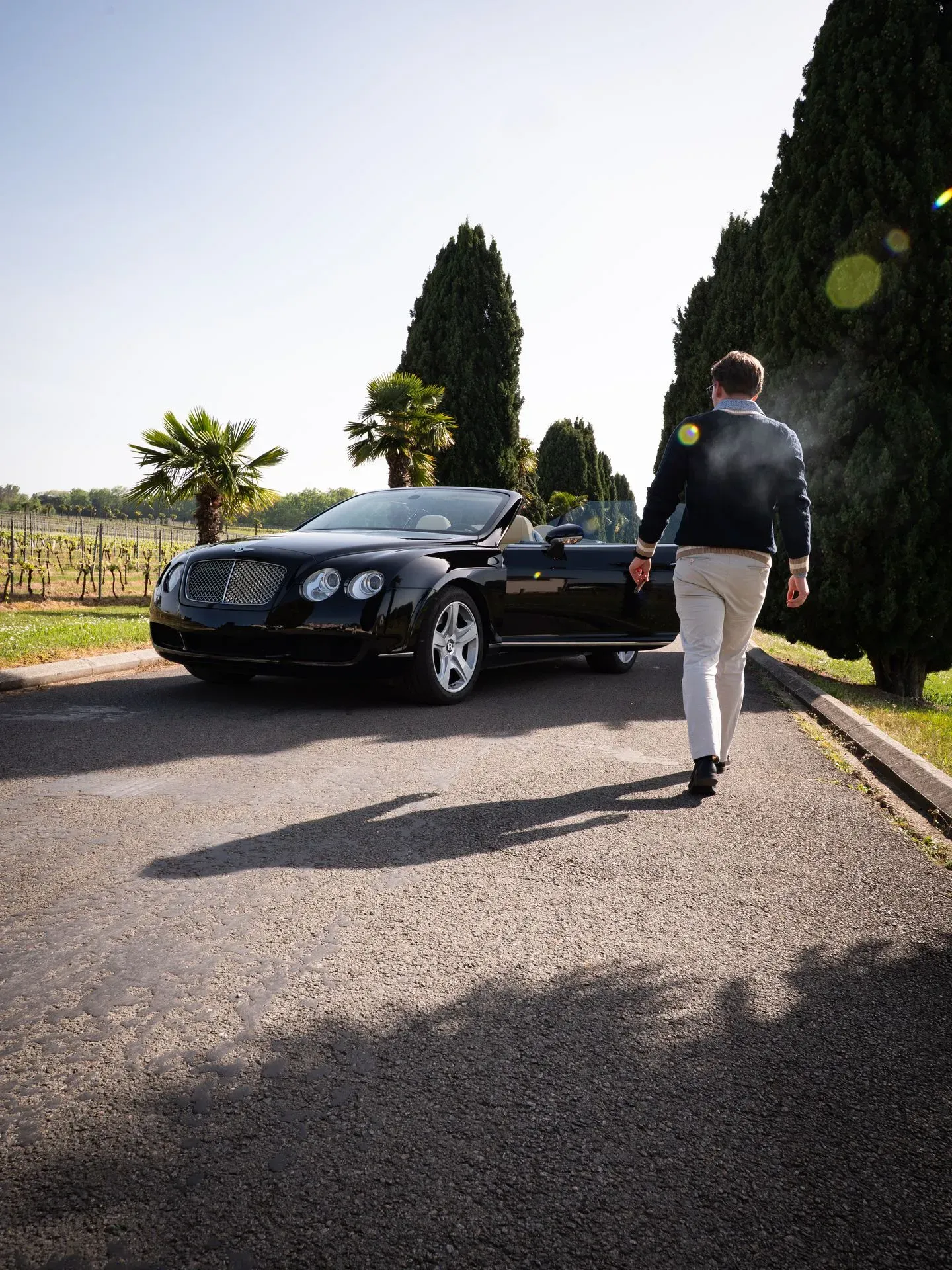 BENTLEY - TRADITION-60